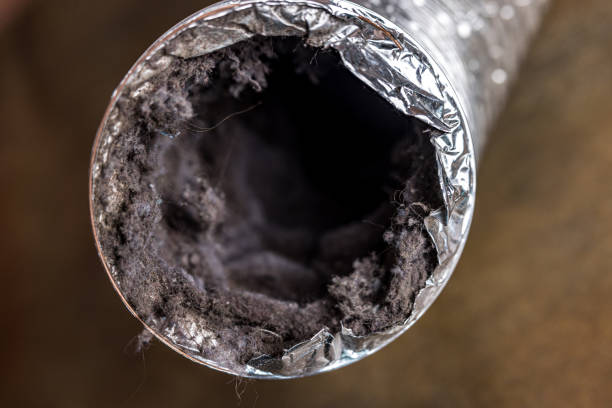 Best Dryer Vent Cleaning Services  in Islip Terrace, NY