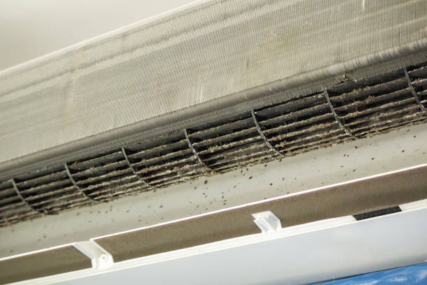 Best Affordable Duct Cleaning Services  in Islip Terrace, NY